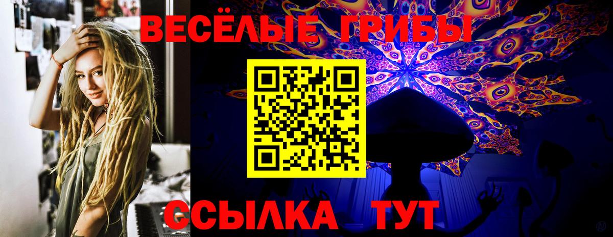 Галлюциногенные грибы GOLDEN TEACHER  Галлюциногенные грибы Cubensis  Солнечногорск  магазин продажи   Вход с VPN 