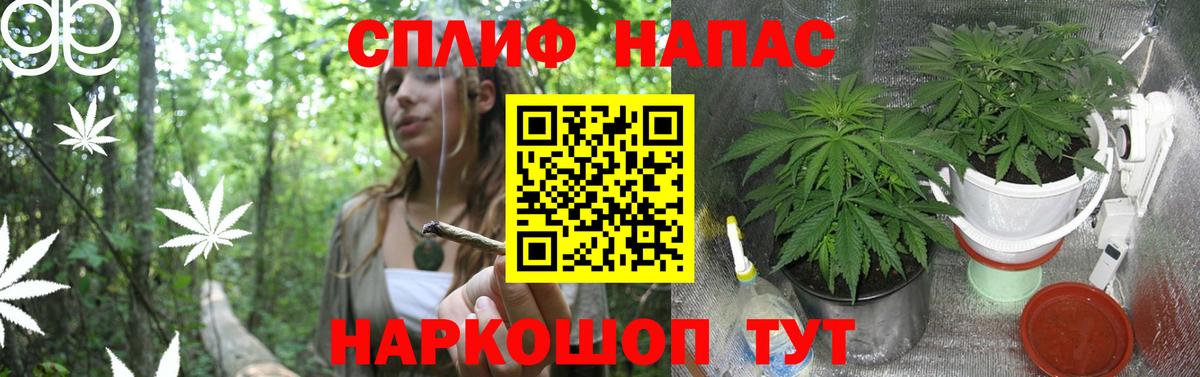 Солнечногорск  Бошки марихуана SATIVA & INDICA  Марихуана THC 21%  Вход с VPN 